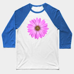 Purple African Daisy Flower Baseball T-Shirt